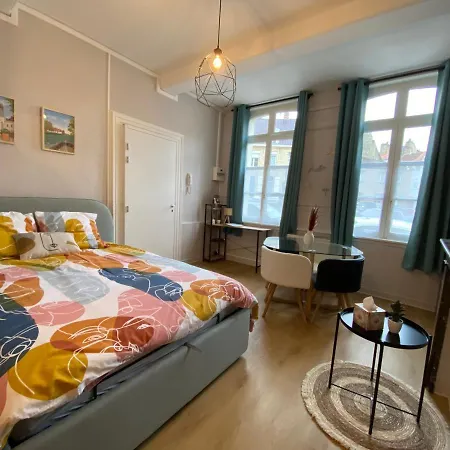 En Plein Coeur De Apartman *